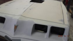 180306 79 Pontiac Trans Am (17).JPG